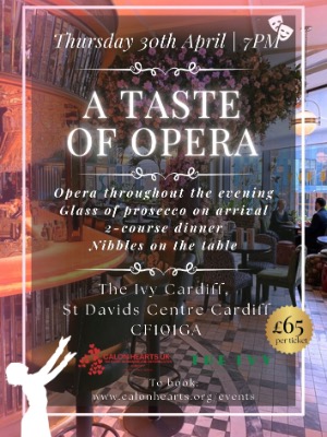 Taste of Opera, Cardiff 