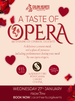 A Taste of Opera Cardiff