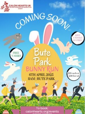 Bunny Run