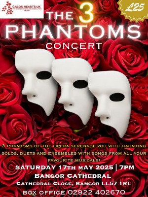 The 3 Phantoms Concert