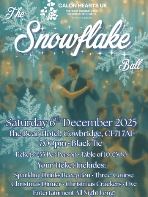 The Snowflake Ball