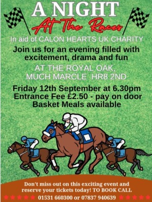 CHARITY NIGHT at the RACES