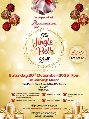 The Jingle Bell Ball 2025 Saturday