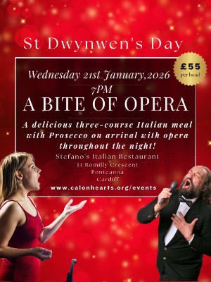 A Bite of Opera Night 