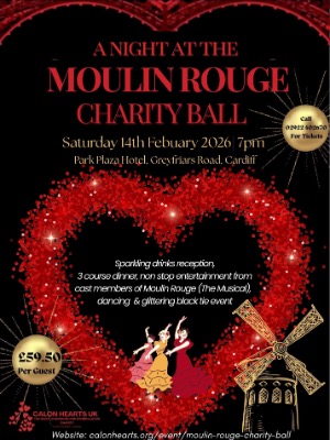 Moulin Rouge Charity Ball 