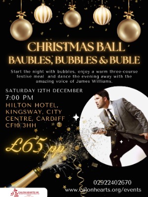  The Christmas Ball You Simply Can’t Miss – Baubles, Bubbles & Bublé! ✨
