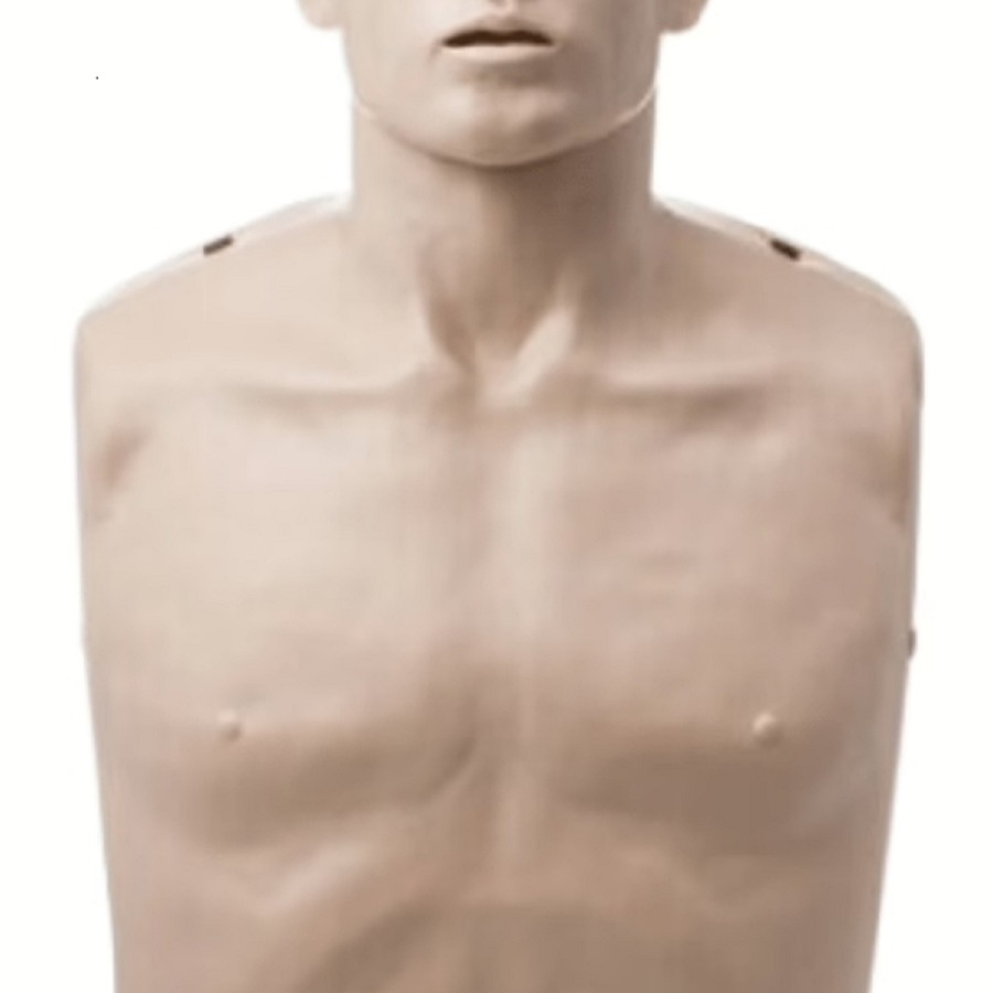 Brayden Basic Manikin without Lights