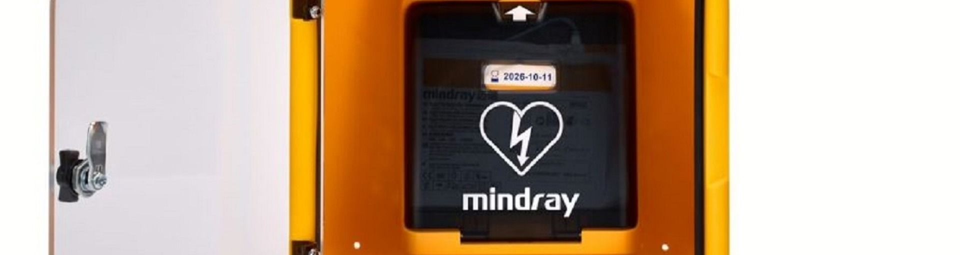 InCaddy Internal Wall Cabinet